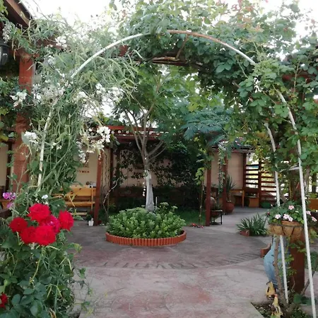 студио - морско бягство * بريمورسكو