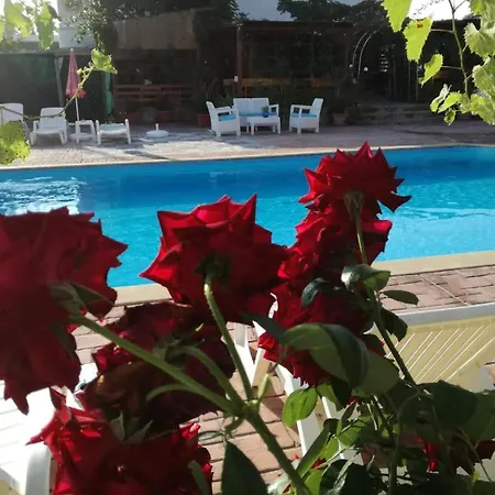 студио - морско бягство شقة بريمورسكو